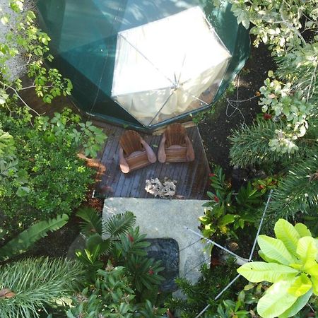 Hotel Momotus Glamping à Florencia Extérieur photo
