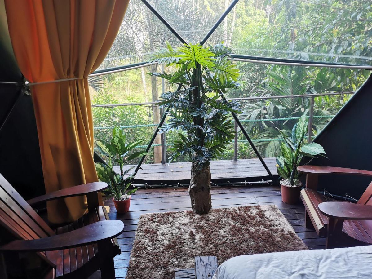 Hotel Momotus Glamping à Florencia Extérieur photo