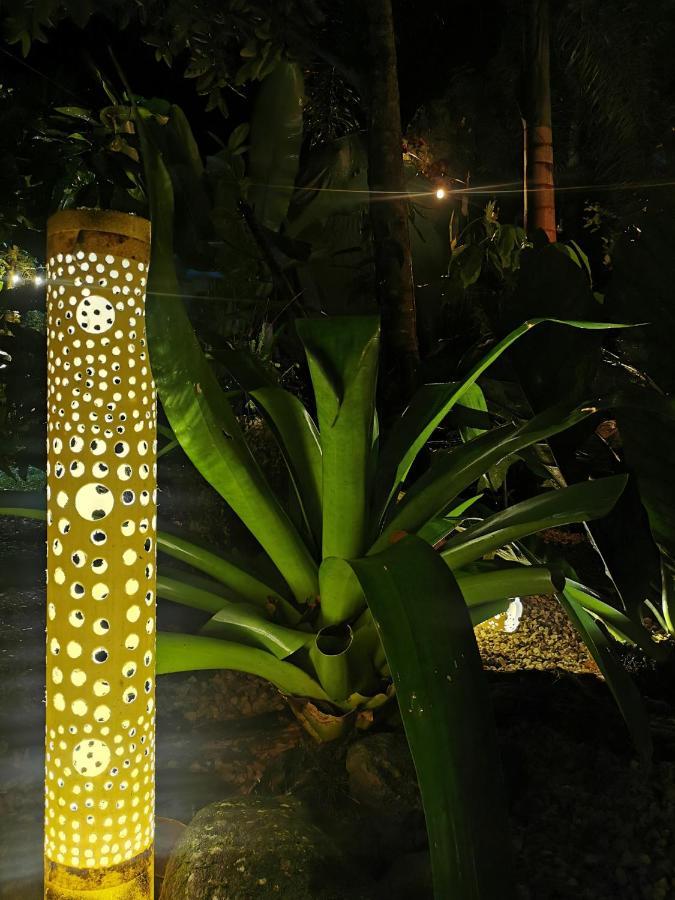 Hotel Momotus Glamping à Florencia Extérieur photo