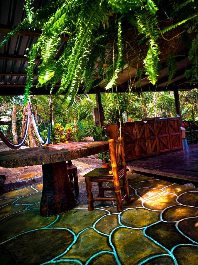 Hotel Momotus Glamping à Florencia Extérieur photo