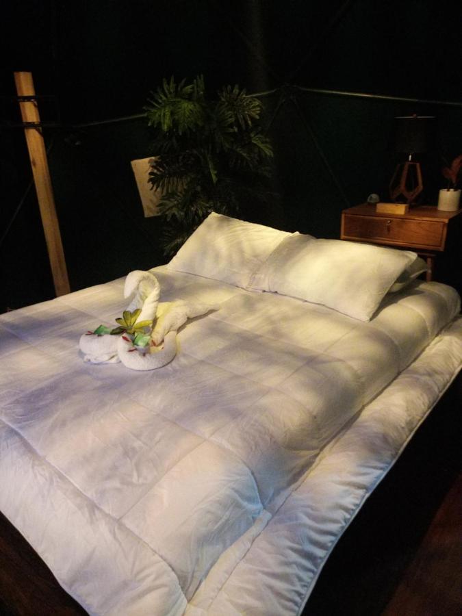 Hotel Momotus Glamping à Florencia Extérieur photo