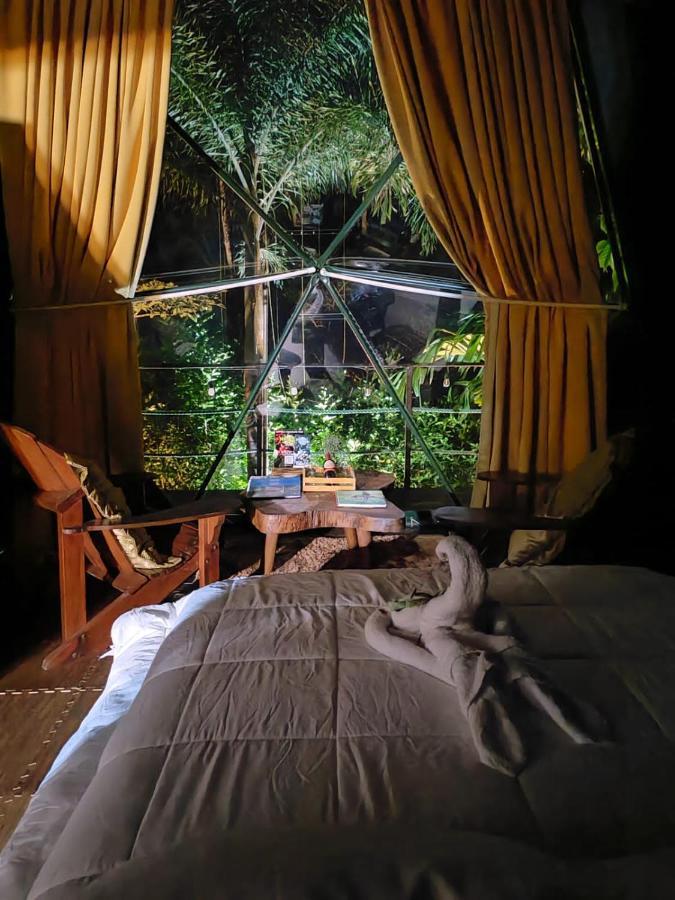 Hotel Momotus Glamping à Florencia Extérieur photo