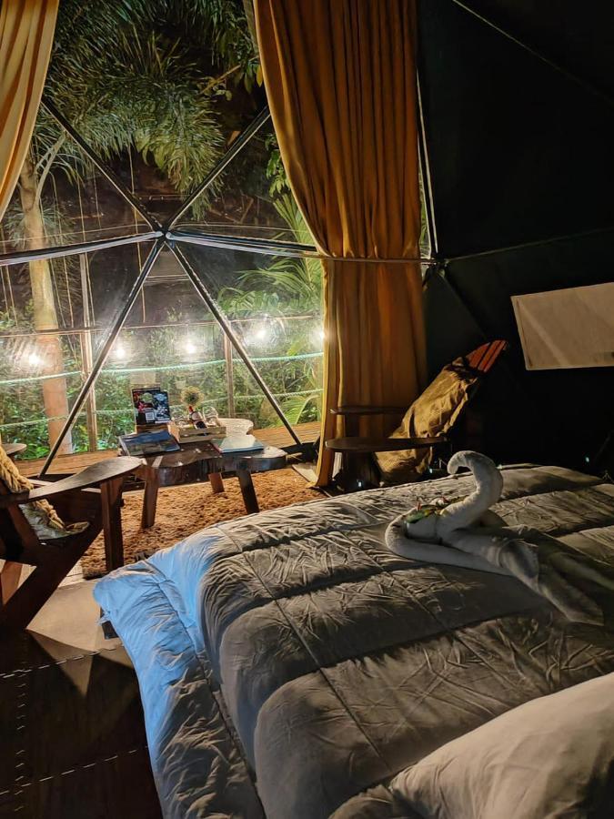 Hotel Momotus Glamping à Florencia Extérieur photo