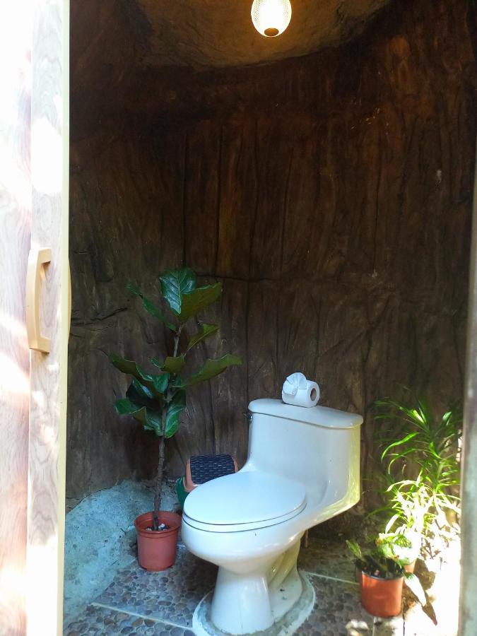 Hotel Momotus Glamping à Florencia Extérieur photo